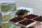 五行查询高速赋能产业升级：一条“杨梅路”的致富密码